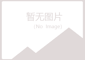 平南县夏岚造纸有限公司